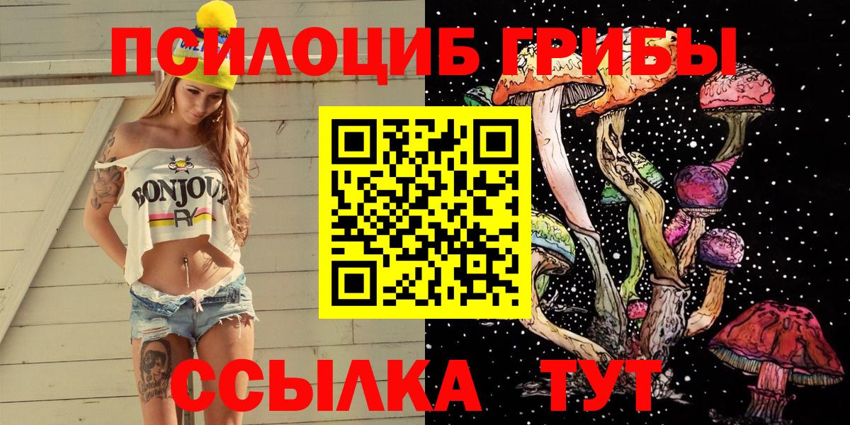 Солнечногорск  Псилоцибиновые грибы ЛСД  Вход с VPN  Псилоцибиновые грибы мицелий 
